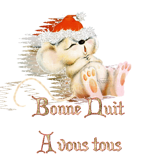 Bonne nuit tout le monde